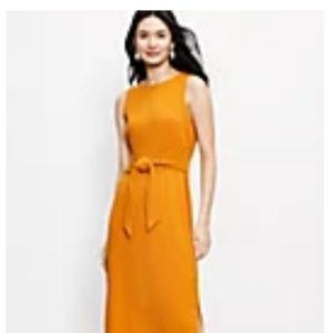 NWT LOFT Tie Waist Midi Dress